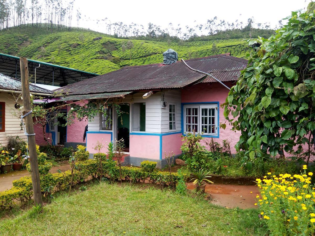 Zina Cottage Munnar Exterior photo